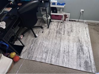 Area Rug 5x7 Light Gray and Beige