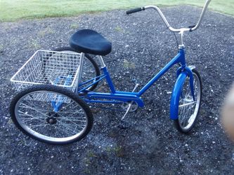 24 INCH MIAMI SUN ADULT TRICYCLE