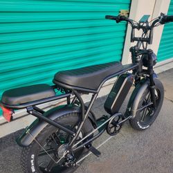 NEW, 1000 Watt, Electric Ebike, 30mph, Extra Seat, Rear Pegs, Hydraulic Brakes