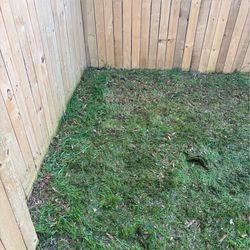 Lawn cut in Waldorf Maryland