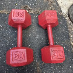 30 Lb Hex Dumbbells 