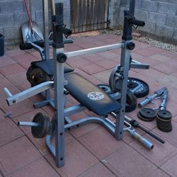 Workout Bench With Weights And Bars