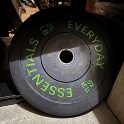 Olympic Bumper Plates 160lbs