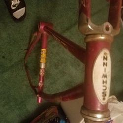 Schwinn Fastback frame & forks