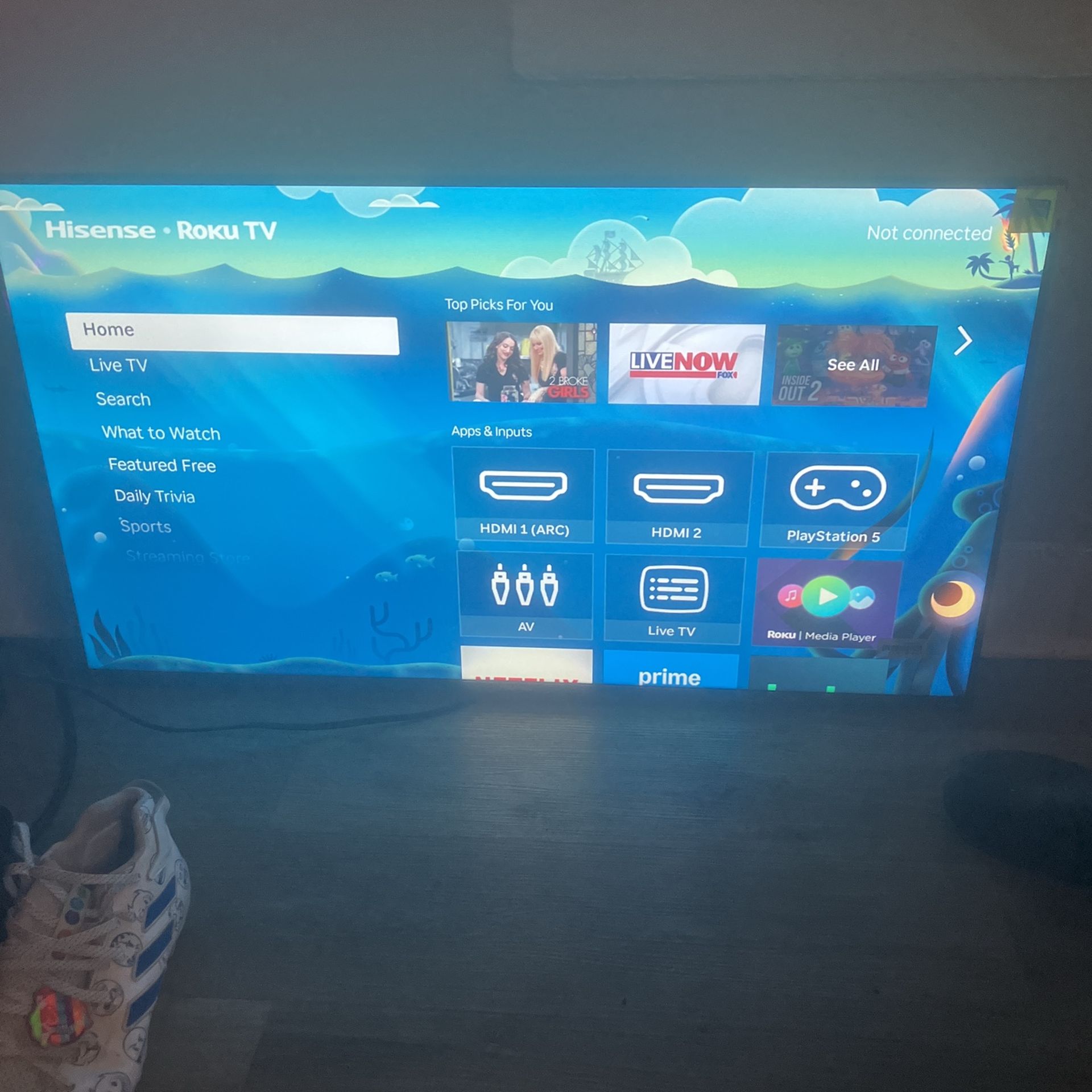40 Inch Roku Tv With Remote And Batteries