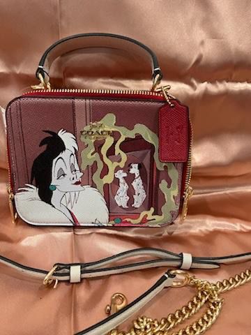 Coach Collaboration With Disney 