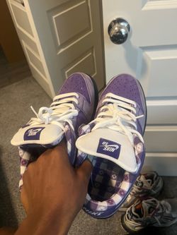 putple lobsters