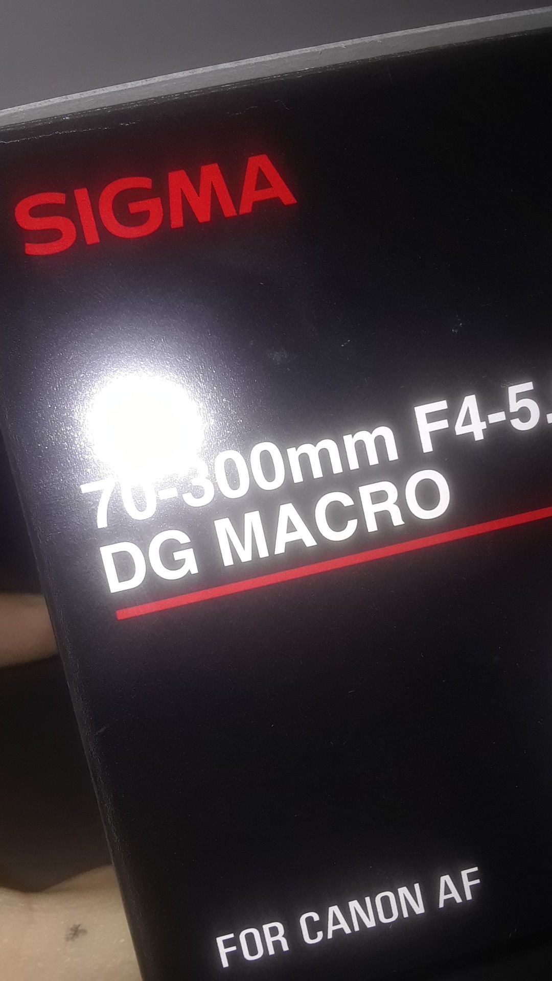 Sigma 70-300mm F4-5.6 DG MACRO