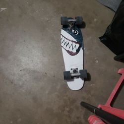 Penny Board