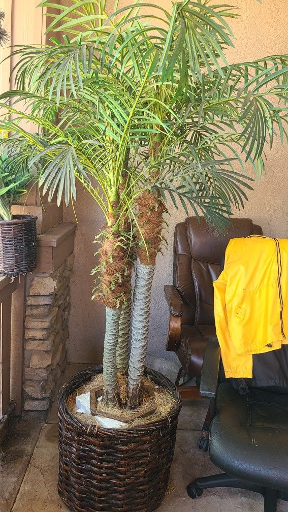 Palm Tree Fake Interior Decoration