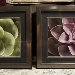 Trademark Fine Art "Florison 25" Canvas Art by Alan B