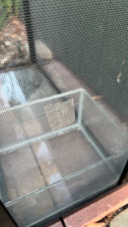Reptile Cage with Lid 40 Gallon
