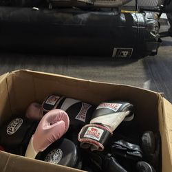 Hanging Punching Bag and box of gloves