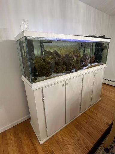 150 Gallon Fish Tank W/stand