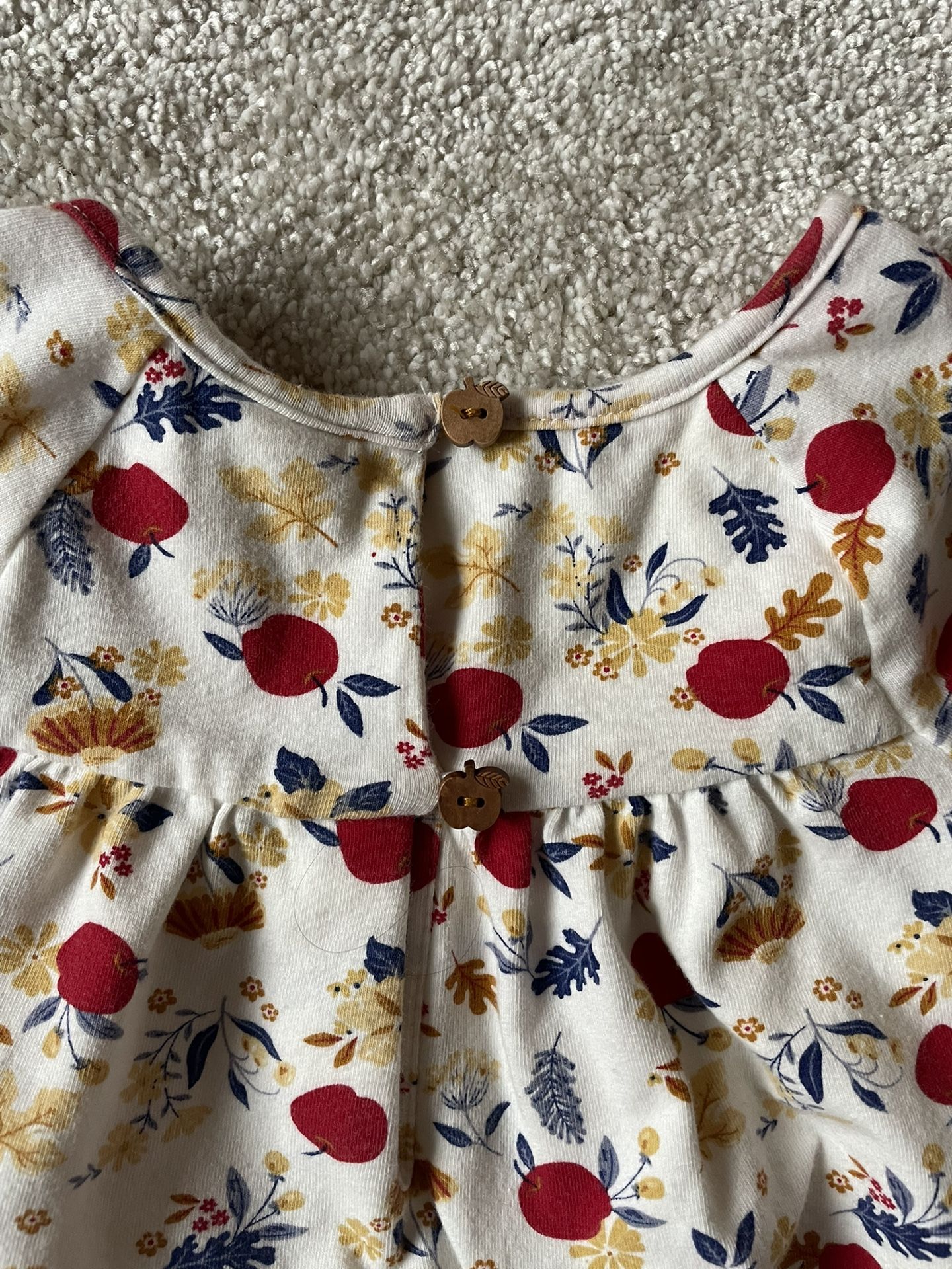 Toddler Girl Clothing Set-3T
