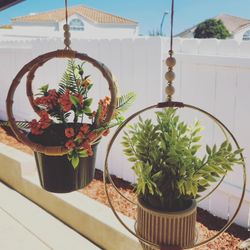 Aesthetic Plant Holder 🪴 