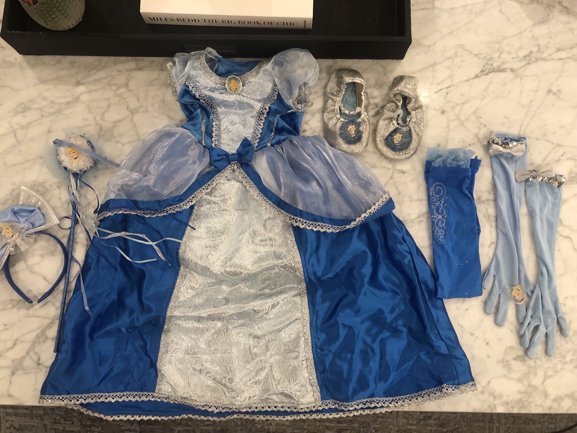 Cinderella Halloween costume