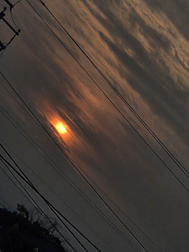 Galaxy Samsung S25+