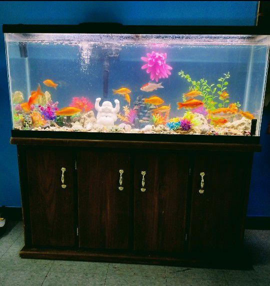 55 Gallon Fish Tank With Wood Stand & Cabinet Doors