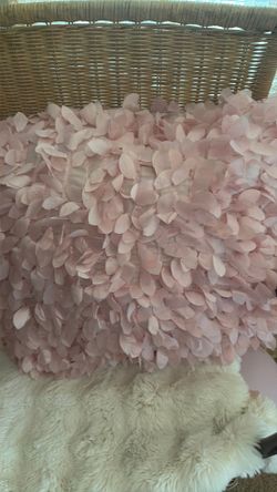 Cushion $20