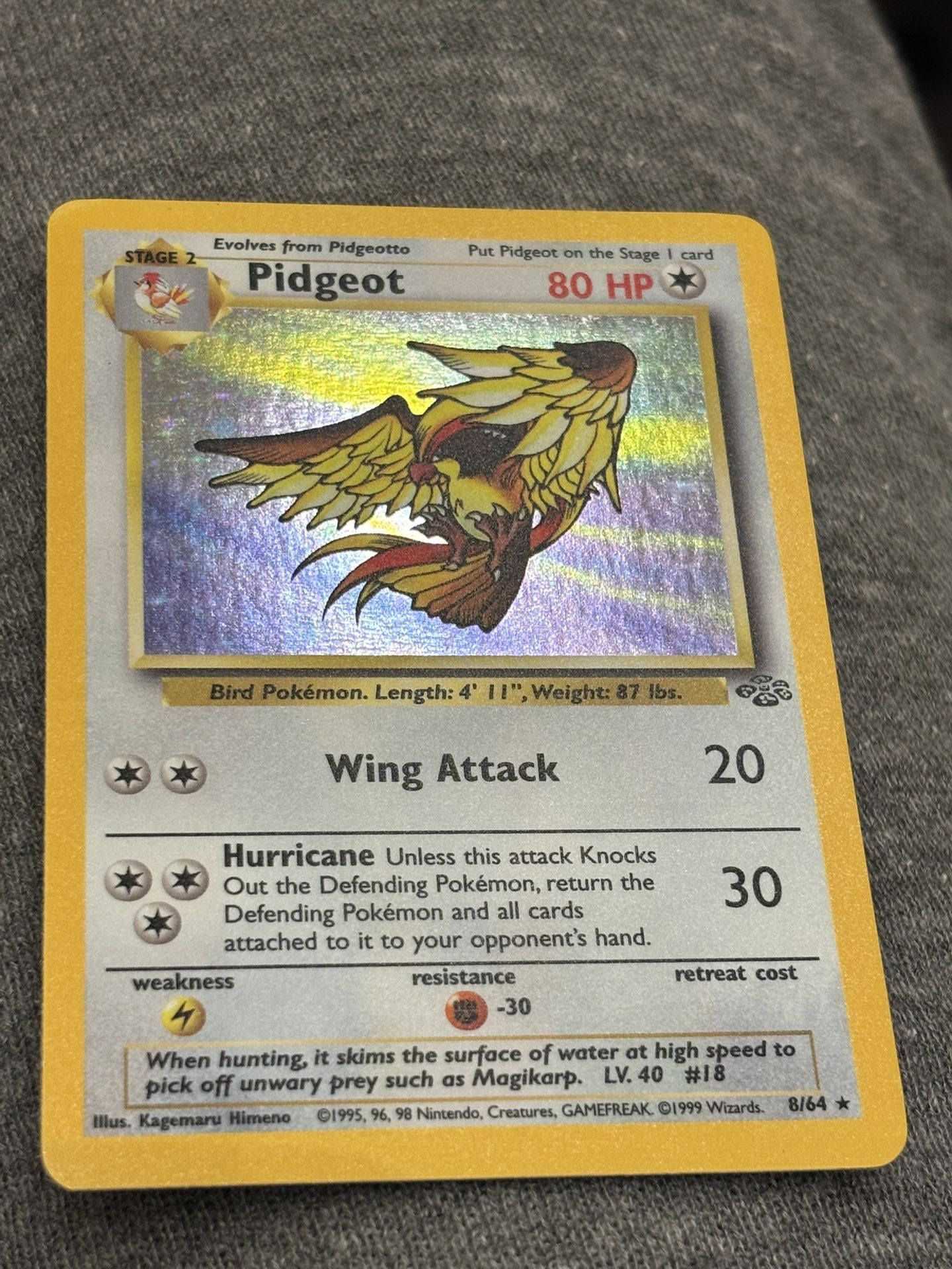 Pokemon Pidgeot Holo Rare 8/64 Jungle 1999 TCG - bombsquadbeer.co.uk Pokemon Pidgeot Holo Rare 8/64 Jungle 1999 TCG - bombsquadbeer.co.uk