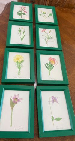 Framed Floral Artwork (8 Pieces)