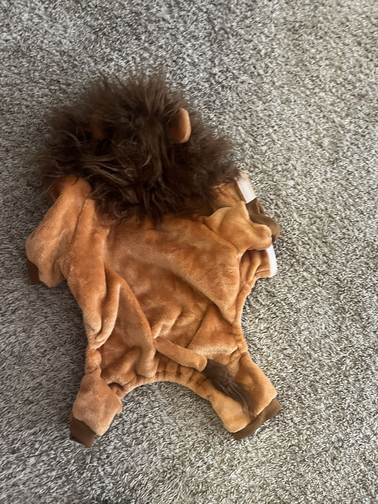 Lion Doggie Costume