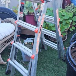 Gorilla Ladder/ Little Giant Ladder/ Ladder