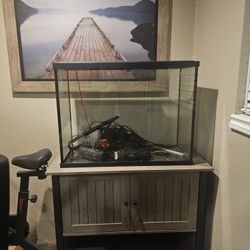 40 Gallon  Fish  Tank 