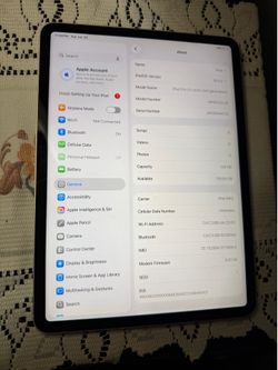 iPad Pro 11 inch 128gb WiFi and cellular factory unlocked