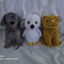 Harry Potter Pet Collection