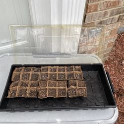 Libby seed Starter Kit Tray With Individual Pots 