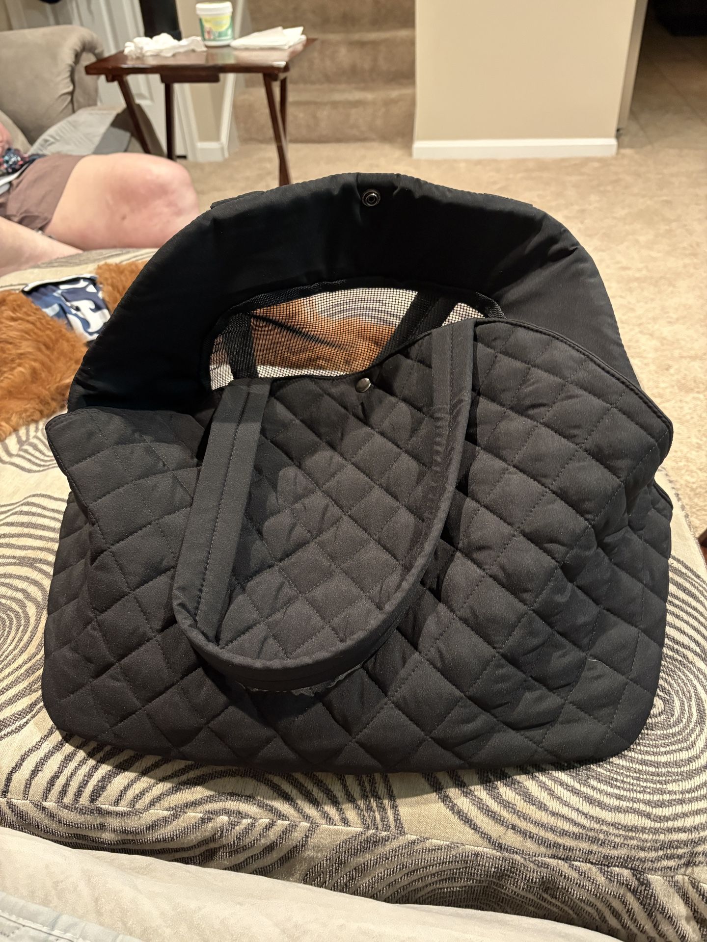 Small Dog Carrier And Harness