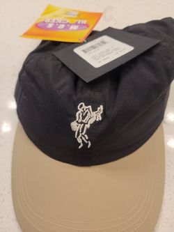 Brand New ashworth golf hat