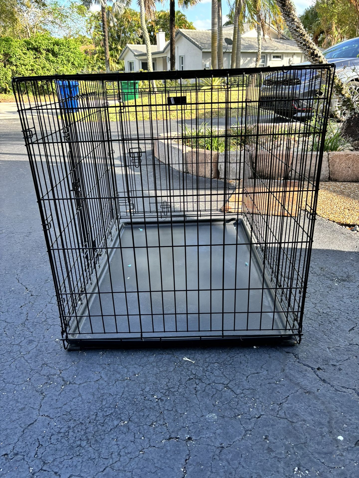 36 In Dog Crate 