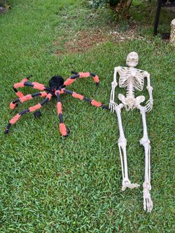 Halloween decorations READ