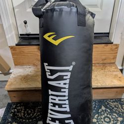 Everlast Punching Bag