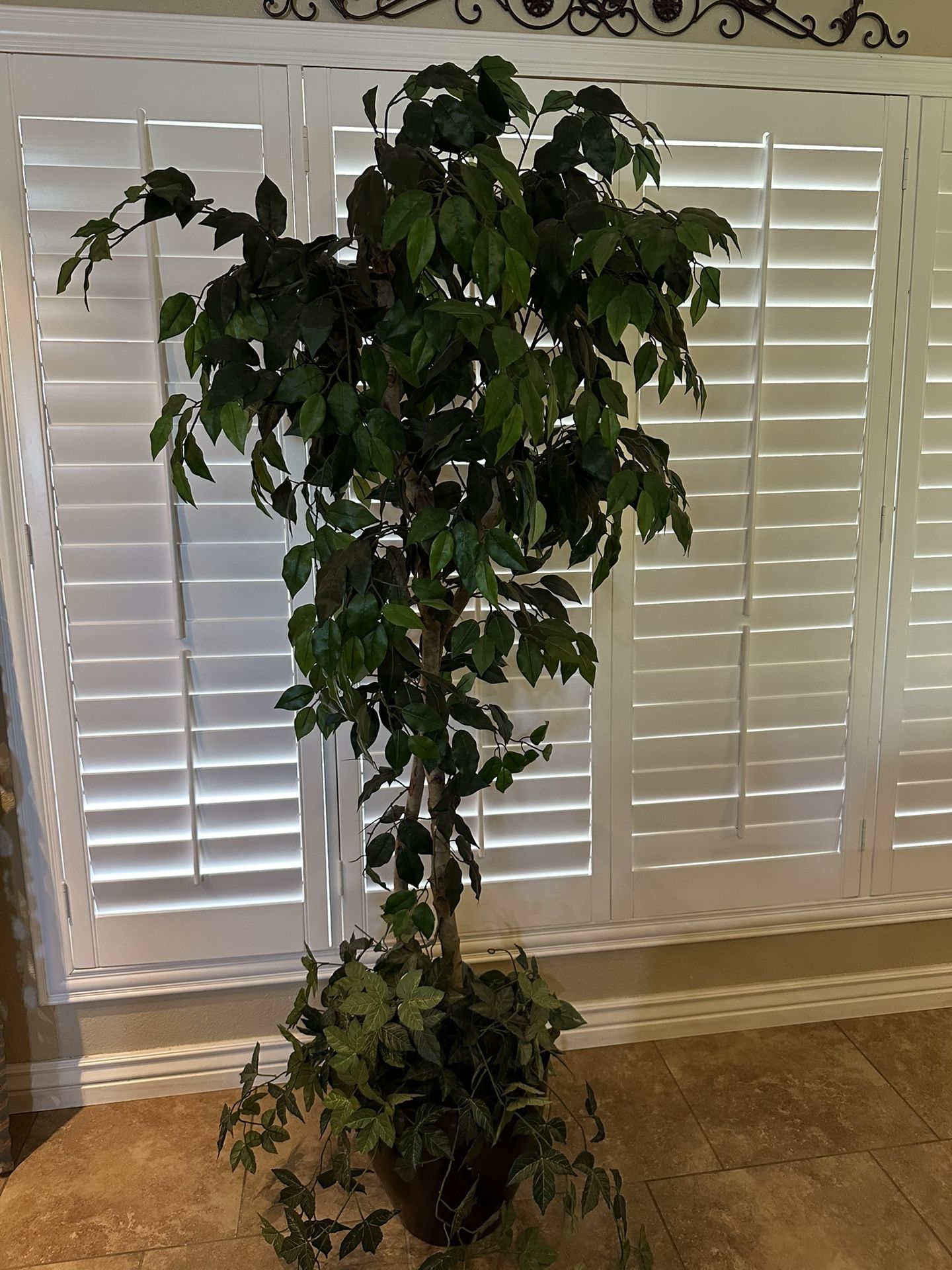 Plants Artificially 6 F