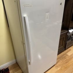 GE standing Freezer 
