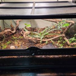 Exoterra Terrarium