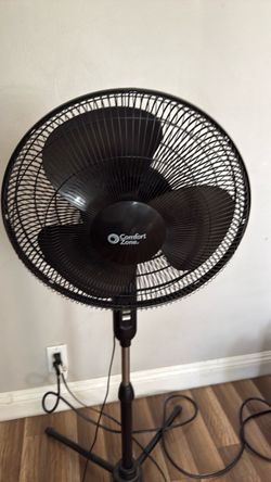 Fan