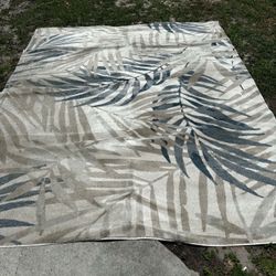 Area Rug 8' 10'2"