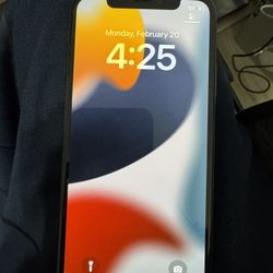 iPhone X