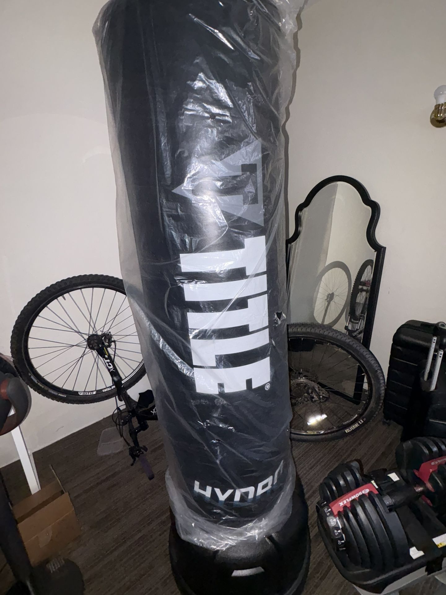 Title Freestanding Punching Bag