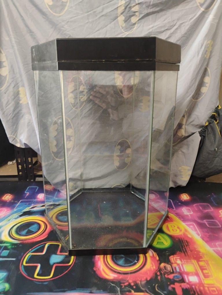 20g Hexagon Fish Tank 