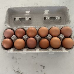 Free Range Eggs 