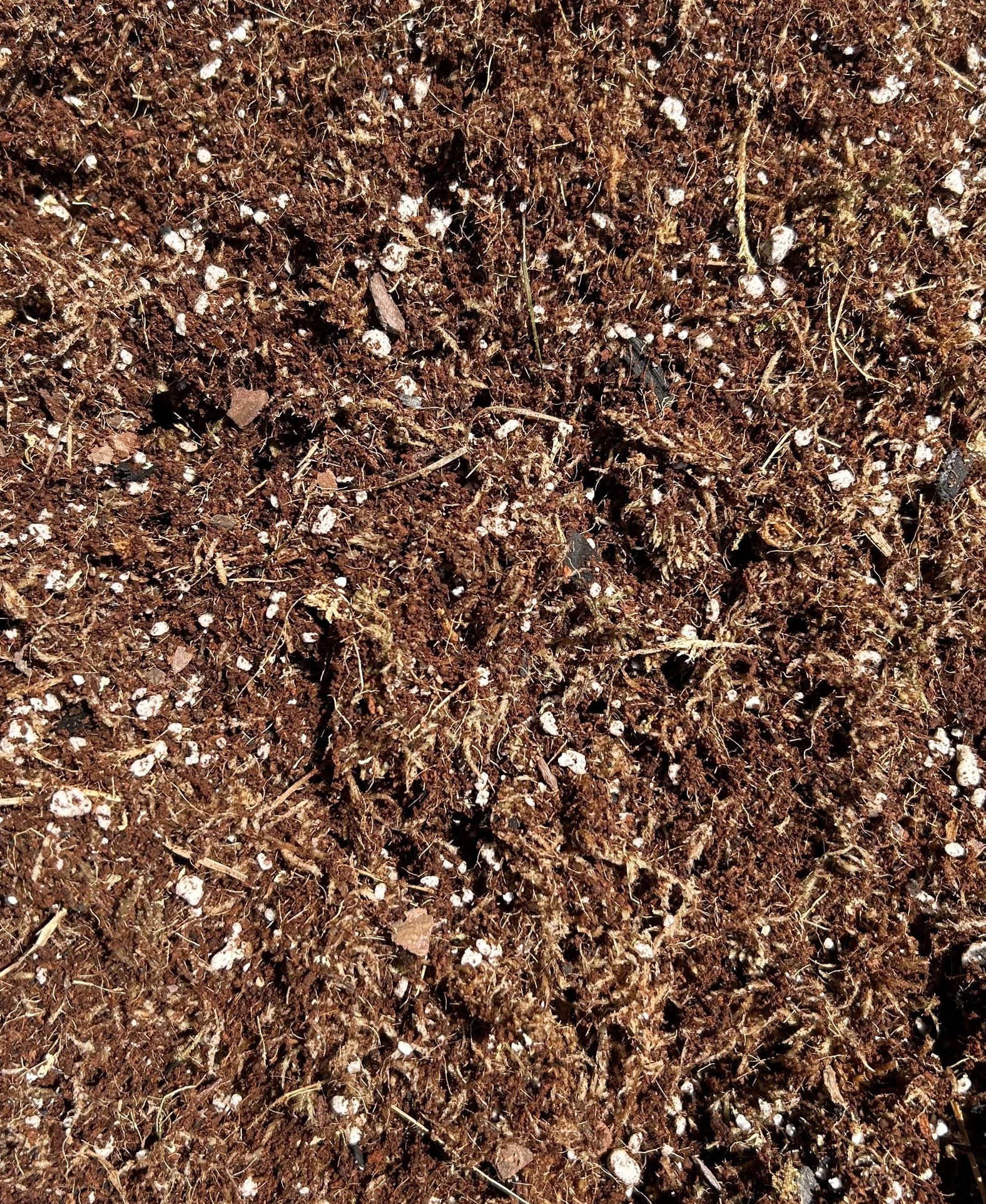 Premium Aroid Mix Moss Pole Filler