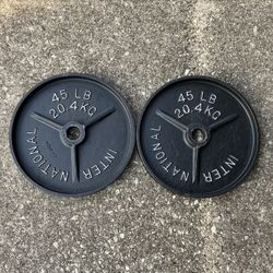 Vintage International Deep Dish Pair 45lb Olympic 2” Weight Plates Weights Plate 45lbs 45lb lbs DD