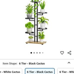 Plant Stand 🌱