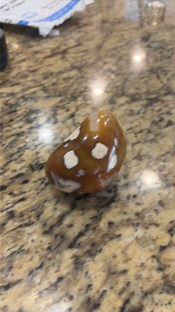 Flower Skin Agate